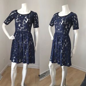 Anthropologie Weston Wear Blue Sheer Dress Scoop 4